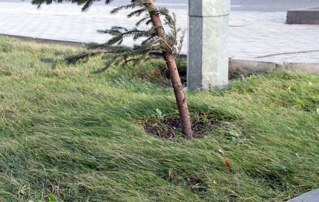 Kuvvetli rüzgarların oluşturabileceği başta soba ve doğalgaz kaynaklı zehirlenmeler olmak üzere, ulaşımda aksamalar, çatı uçması, ağaç ve direklerin devrilmesi gibi olumsuzluklara karşı dikkatli ve tedbirli olunmalıdır" denilmişti.