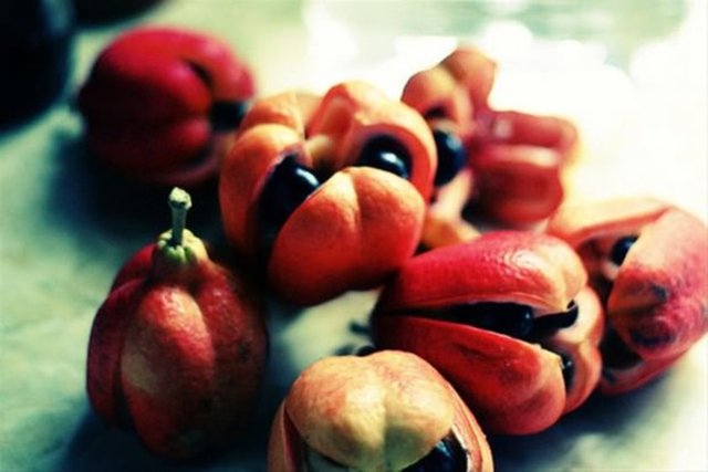 Ackee Meyvesi Jamaika'da yetişen lezzetli ve zehirli meyve, vitaminler ve protein açısından zengin olsa da, iyice olgunlaşmadan tüketildiğinde karaciğerinizden glikozun salınmasını engeller ve ölüme neden olur.
