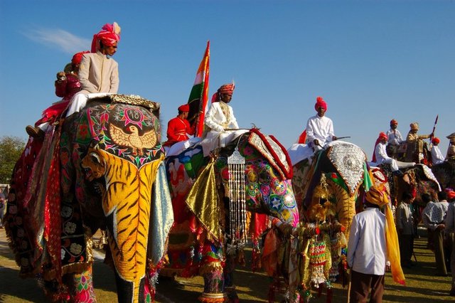 Jaipur Fil Festivali