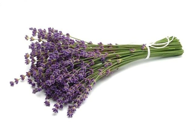 Lavanta: Salata ve yemek soslarına konan birkaç damla lavanta, seks hayatını güçlendirir.