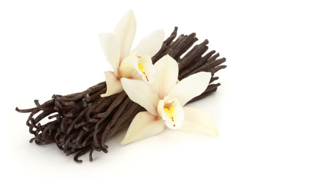 Vanilya: Merkezi sinir sistemine etki ederek kokusuyla uyarıcı etki yaratır.