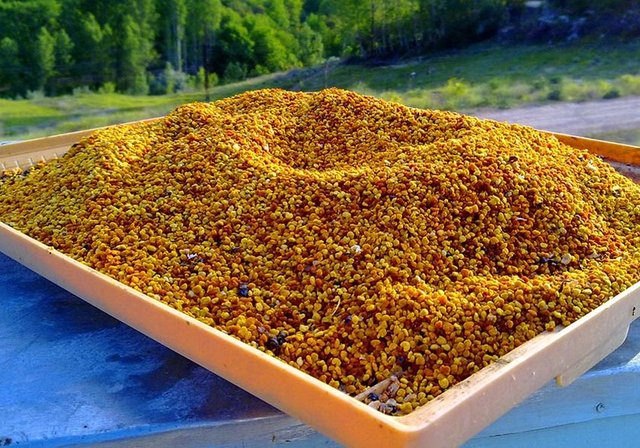 Polen: Son yıllarda afrodizyak olarak kullanılan polenin yapısında, belli ölçüde testosteron ve diğer cinsiyet hormonları bulunuyor. Ayrıca içerisinde birçok vitamin mineral ve amino asit bulunur.