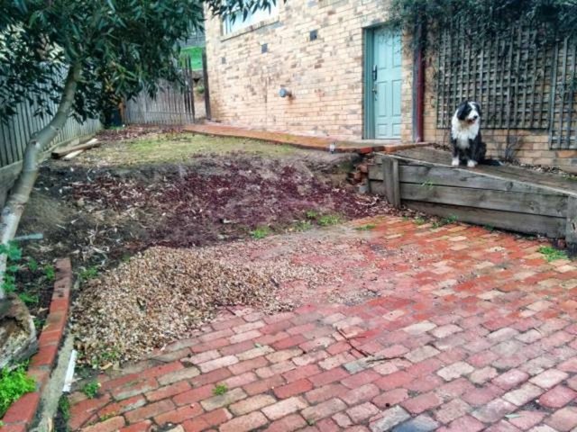 BAHÇESİNE ÖYLE BİR ŞEY YAPTI Kİ... - Yaratıcılık bu olsa gerek... Bu adamın yaptığı şeye hayret edeceksiniz!