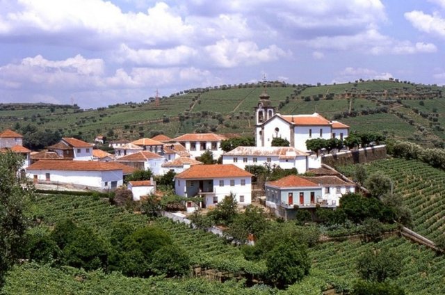 Wine Country - Portekiz