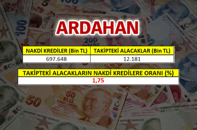 Bankacılık Düzenleme ve Denetleme Kurumu (BDDK), illerin 2015 sonu itibarıyla nakdi kredi ve takipteki alacaklar rakamlarını açıkladı.