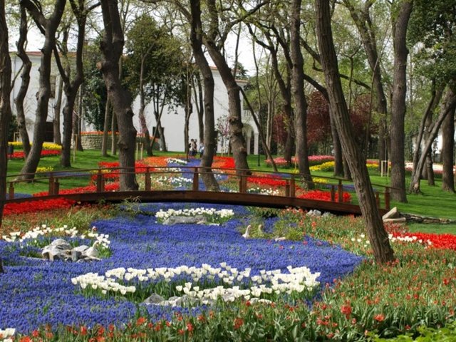 En iyi parkı: Emirgan.
