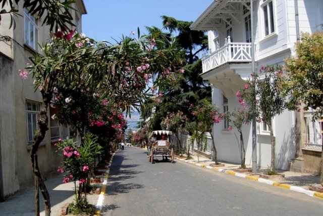 Yazarken ilham veren en iyi yer: Büyükada. Galata Kulesi. Pierre Loti.