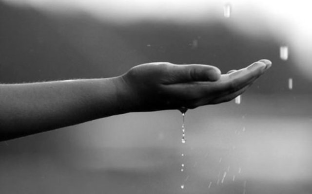 Yalnızca Allah'a dayanıp güvenirler. / Tevbe-20