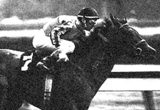 Jokey Frank Hayes, 1953 yılında katılmış olduğu bir yarış esnasında atının üzerinde kalp krizi gerçirdi ve yaşamını kaybetti. Fakat bedeninin hala üzerinde olduğu atı durmadı ve yarışı birincilikle tamamladı. Hayes, bir at yarışı kazanan ilk ve tek ölü jokey olarak tarihe geçti.