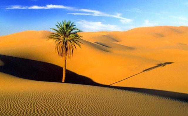 Sahra Çölünde bulunan kum taneciği sayısının, var olan yıldız sayısından daha azdır.