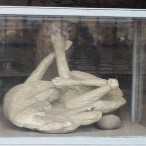 Seda Zeynep Köse Napoli'de