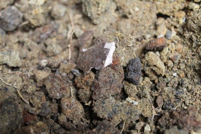 Polisin gelip inceleme yapmasıyla bu kemik parçalarının 150 yıldan daha fazla süredir toprak altında olduğu öğrenildi.