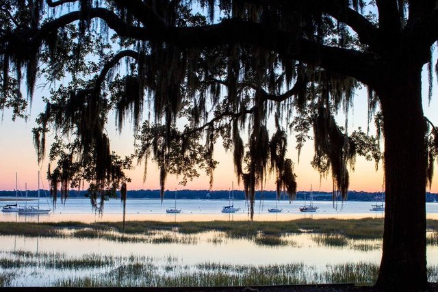 Beaufort - Güney Carolina  - Amerika Birleşik Devletleri 