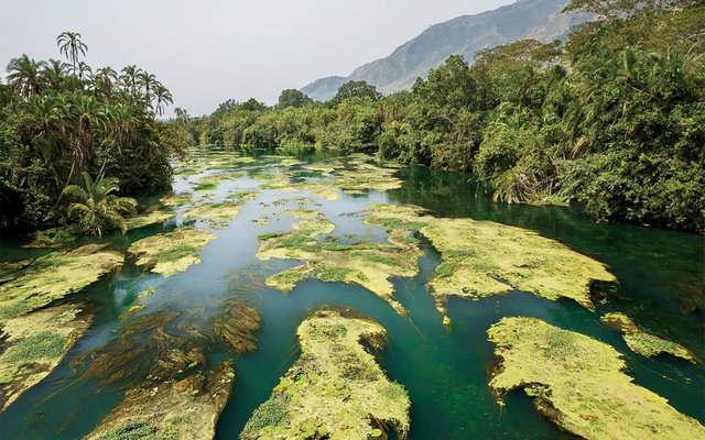 Virunga National Park - Demokratik Kongo Cumhuriyeti 