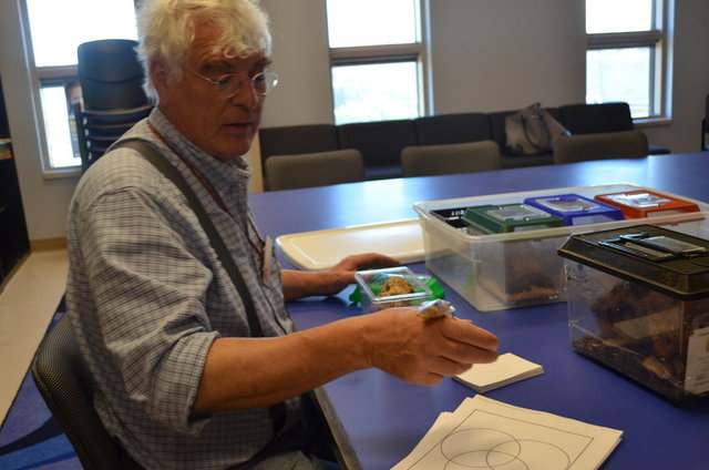 Michael Bohdan bu haşereleri öyle süslemiş ki; hamamböcekleri gerçekten seyirlik olmuş. Hamamböceklerinin her birine isim takan Michael Bohdan, böceklerinin kimisini plaj ortamına kimisini de giydirip mini piyanonun başına oturtmuş.