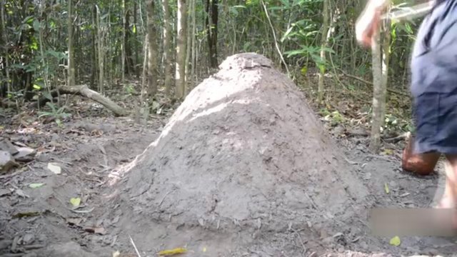 Toprağın renginden kuruduğu anlaşılıyor...