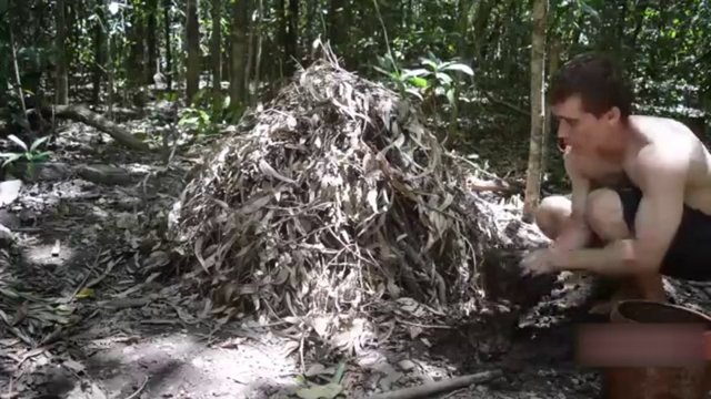 Çamurları dal ve çalıların üzerine sürüyor...