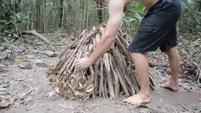 Dalların üzerini çalılarla kaplıyor...