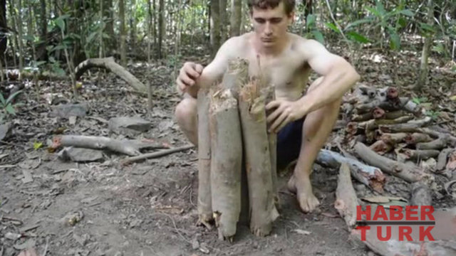 Sonra sırasıyla diğer dalları dengeli bir şekilde çevresine diziyor...