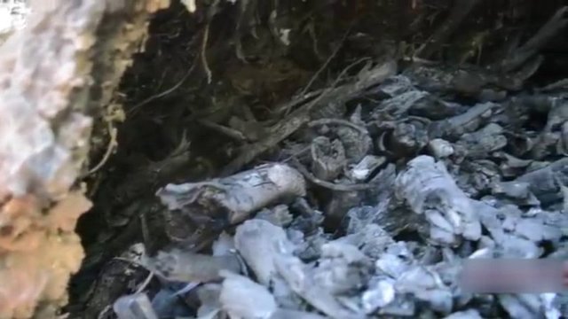 Çılgın genç, doğada hiçbir malzeme kullanmadan sıfırdan odun kömürü üretti.