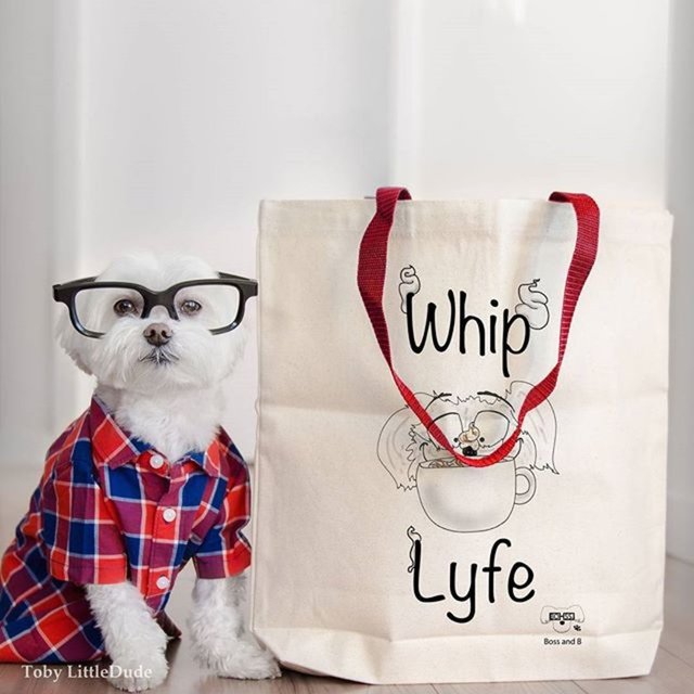 Artık bir Instagram fenomeni olan Toby'nin sevimli ve ilginç fotoğrafları kısa sürede çok fazla 'like' alıyor. - İşte Toby'nin fotoğrafları...