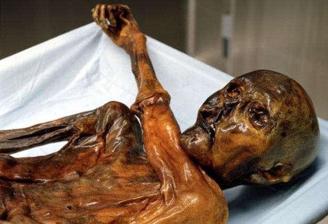 Otzi'nin midesindeki bulgulara göre ölümünden 12 saat önce büyük bir ziyafet çektiği ve yemeğinin arasında dağ keçisi bulunduğu kaydedildi.