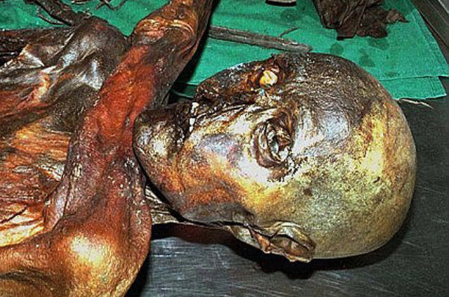 46 yaşında ölen Otzi'nin zamanına göre oldukça uzun yaşamış olduğu da anlaşılıyor. Otzi'nin fit bir vücuda sahip, kahverengi gözlü, sakallı, uzun saçlı olduğu ve 61 dövmesi bulunduğu belirtildi.