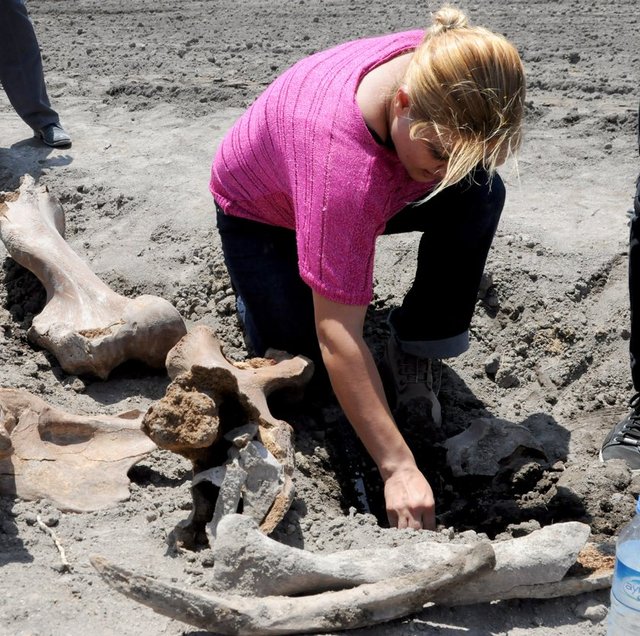 "Bulunan parçaların yaklaşık 40 yıl önce aynı bölgeden çıkartılan ve Kent Müzesi'nde sergilenen mamut fosiline benzediğini düşünüyoruz. Uzmanların yapacağı analizler, fosilin neye ait ve kaç yıllık olduğunu ortaya koyacak. Eğer kültür envanterimizde değer ifade ediyorsa çıkarılan parçalar sergilenecek. Bulunan parçalar bize bu alanın çok eski bir yerleşim yeri ve antik çağlara uzanan bir bölge olduğunu gösteriyor."