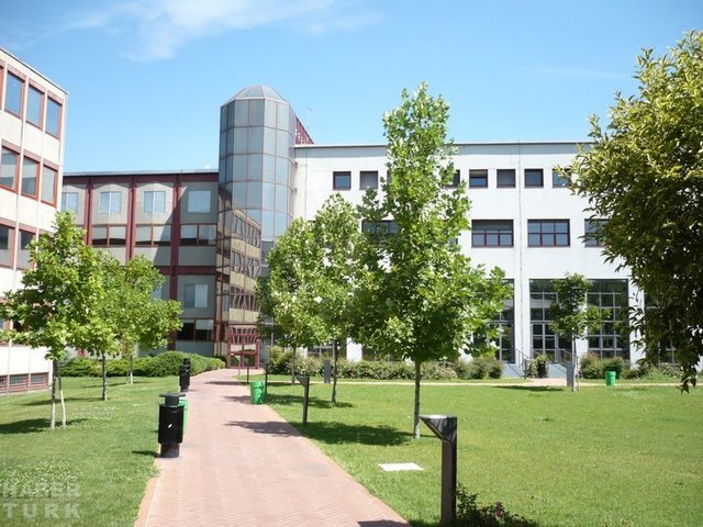 66. Verona University, İtalya 1982