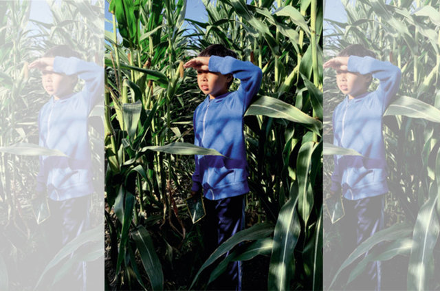 14) Cielo de la Paz, Alameda, CA