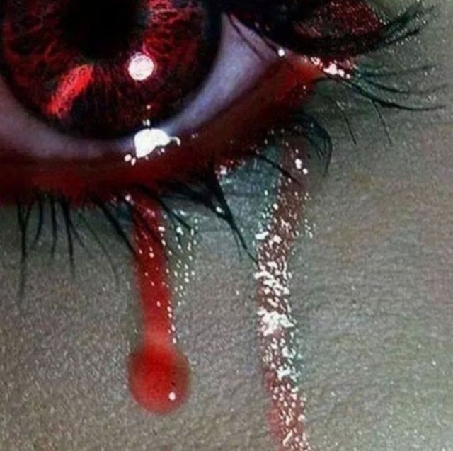 SEVİM EMREYine ateş düştü yüreğimize gözden yaş değil kan akıyor... Yazık çok yazık gün aydın diyemiyorum gün kara kapkara...