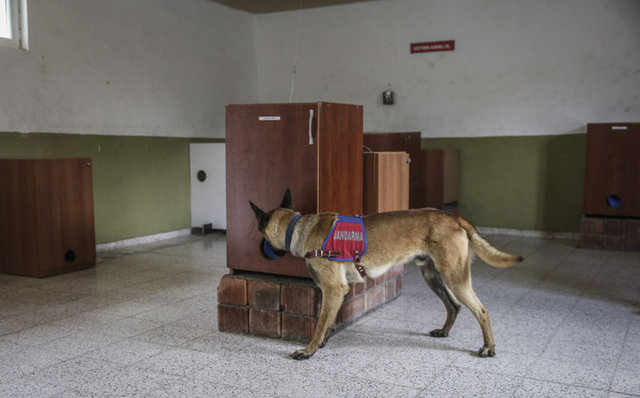 Jandarma At ve Köpek Eğitim Merkezi'nde (JAKEM) iz takip, devriye, narkotik, keşif, arama-kurtarma, mayın ve bomba arama ile özel operasyon konularında doğumdan emekliliklerine kadar özel eğitimden geçirilen köpekler, Türkiye'nin çeşitli noktalarındaki asayiş ve terör olaylarında görev alıyor. 