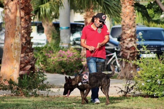 Özellikle çocuklar köpeklere yoğun ilgi gösterirken, bazı çocuklarda köpeklerin havlamasıyla korktu.