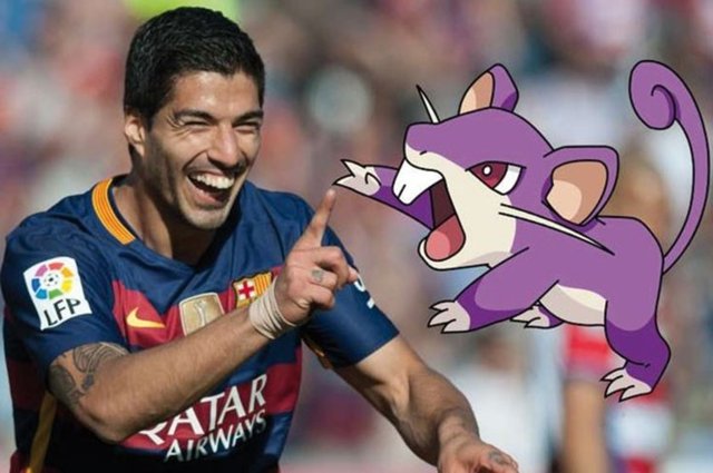 Luis Suarez | Rattata