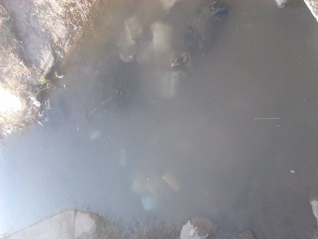 Düzenlenen operasyonda evinde yakalanan Arif Yılmaz gözaltına alındı. Evde yapılan aramada 3 adet Laptop, bir adet telefona el konuldu. (İHA)