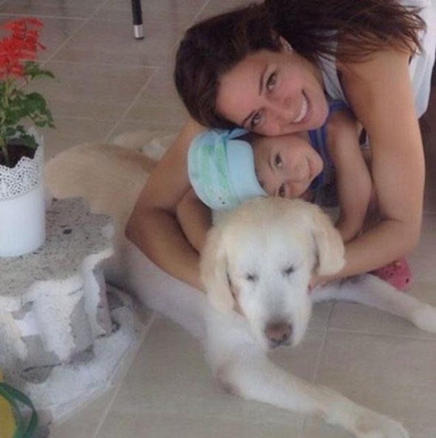 ÖZGE BORAKÇocuklar, çiçekler ve hayvanlar insanın ruhunu aydınlatıyor. Gerçek barış için onları izlemeniz yeter.