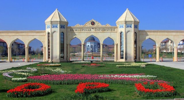 46 Dumlupınar Üniversitesi