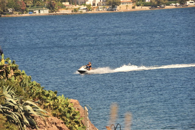 GÜLŞAH GORDİ