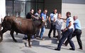 Kurban Bayramı'ndan renkli kareler