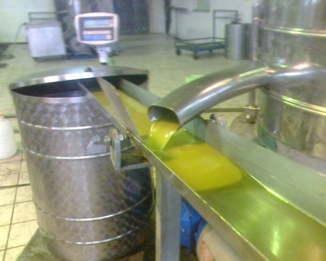 ZEYTİN VE ZEYTİNYAĞI: Zeytinyağı, kalp damarlarını korur ve besler. Meme kanserinin oluşumunu engeller. Kötü kolesterolü düşürür ve damarların daralmasını önler. Antioksidandır. Damar sertleşmesini engelleyen polifenol içerir; özellikle ilk sızma zeytinyağında vardır. Mide kanserine yakalanma oranını düşürür. Anne sütünü artırır.