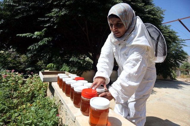 BAL: Früktoz ve glikoz gibi doğal şekerler içerir. Bunun yanı sıra magnezyum, potasyum, kalsiyum, bakır, iyot, çinko, sodyum klorür, kükürt, demir ve fosfor gibi mineralleri de içerir. Ayrıca B1, B2, B3, B5, B6 ve C vitaminleri vardır. Sindirimi çok kolay olduğu için bağırsakların ve böbreklerin daha iyi çalışmasına yardımcı olur.