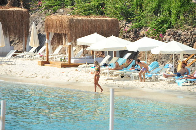 ASLIŞAH ALKOÇLAR