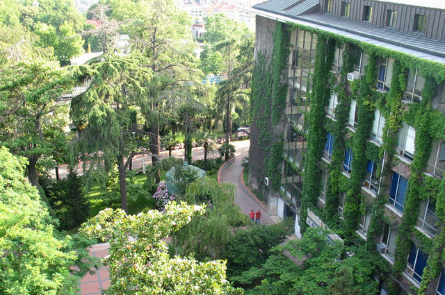801+ Yıldız Teknik Üniversitesi