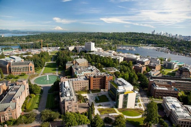 = 25 - Washington Üniversitesi