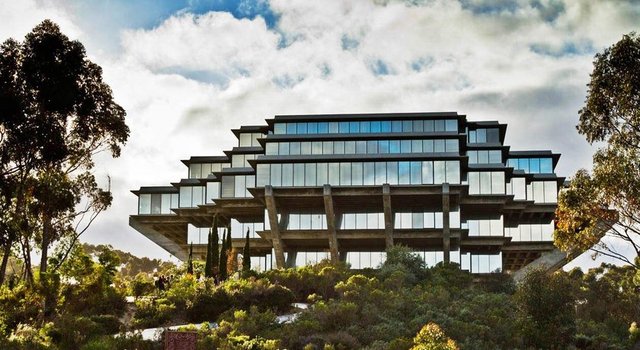 41 -California Üniversitesi, San Diego