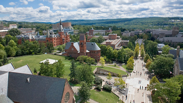 19 - Cornell Üniversitesi