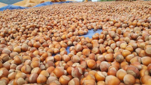 Yüksek miktarda lif içeriği vardır.