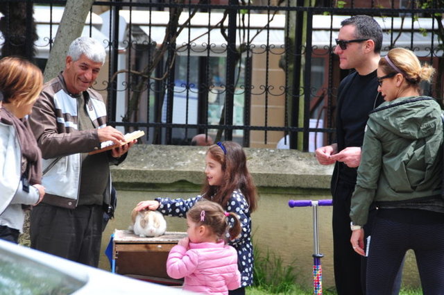 ALİ, ALİSA GÜRSOY