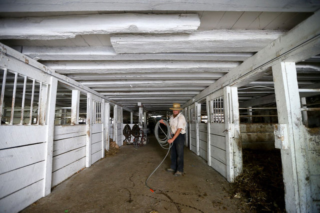 Modern hayatı ve teknolojiyi reddediyorlar.