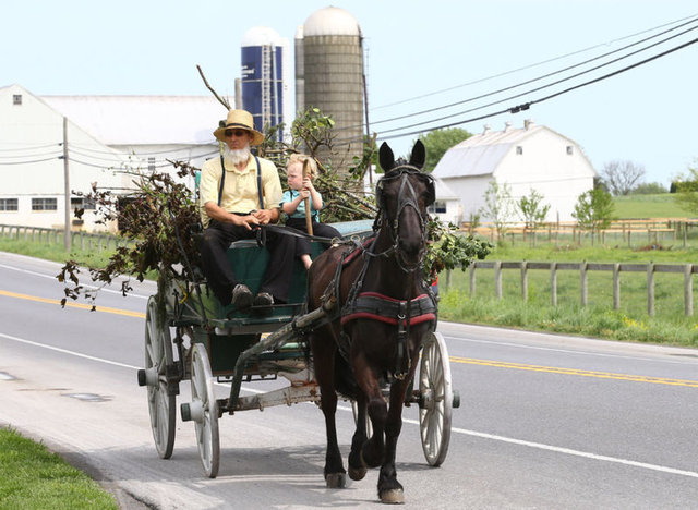 Anadolu Ajansı'nın haberine göre; ABD'de inançları gereği kendilerini modern dünyadan ve teknolojiden soyutlayan Amish'lerin mütevazi yaşam tarzları, insanları adeta zamanda yolculuğa çıkarıyor.   